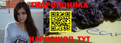спиды Новокубанск