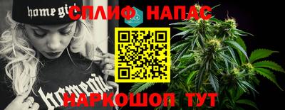 спиды Новокубанск