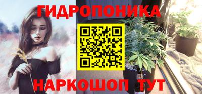 твердый Новозыбков
