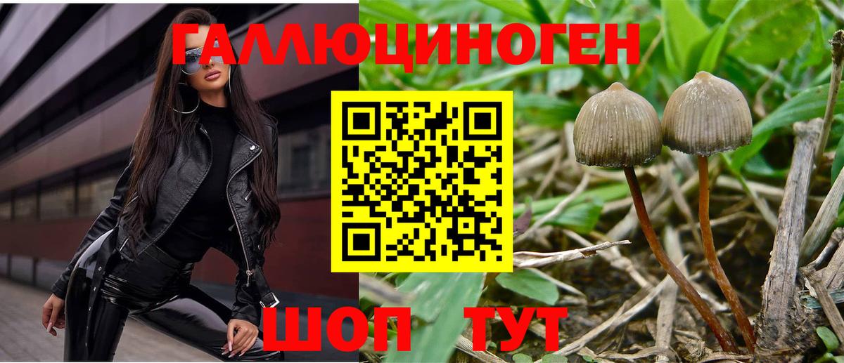 Петрозаводск  купить  цена  Вход с VPN  Галлюциногенные грибы Cubensis  Галлюциногенные грибы ЛСД 